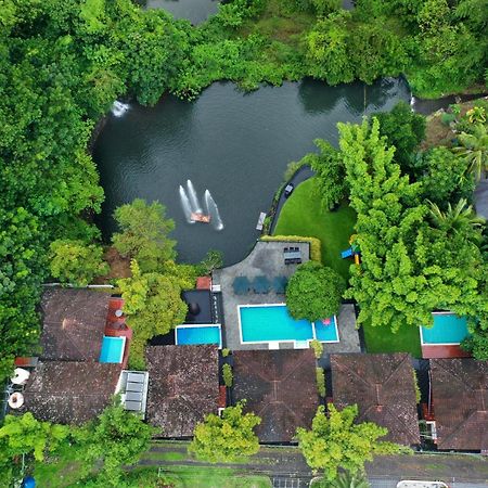 Athirapally Green Trees Athirappilly Eksteriør bilde