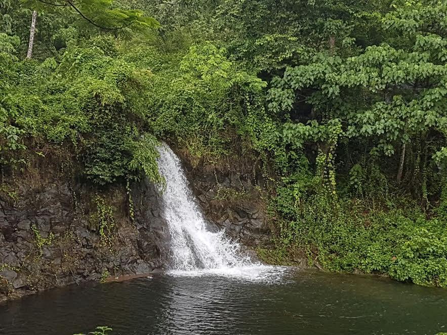 Athirapally Green Trees Athirappilly Eksteriør bilde